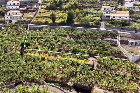 Helårsgrund i Calheta, Madeira, Calheta - € 350.000 | Ref: C0447-00186 - foto 12