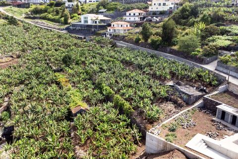 Helårsgrund i Calheta, Madeira, Calheta - € 350.000 | Ref: C0447-00186 - foto 13