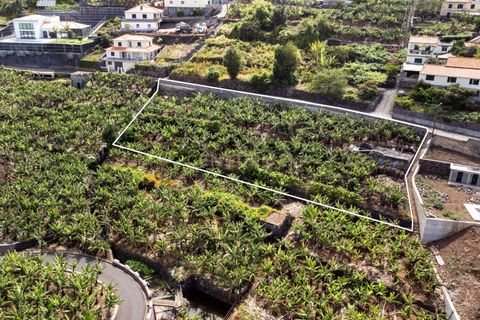 Helårsgrund i Calheta, Madeira, Calheta - € 350.000 | Ref: C0447-00186 - foto 15