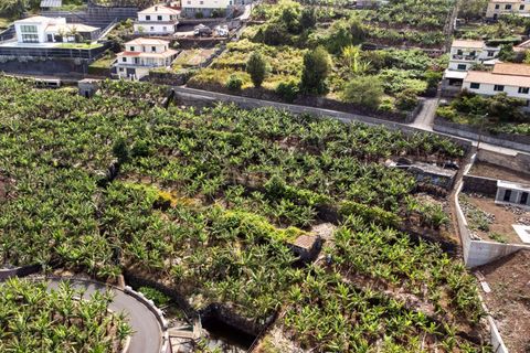 Helårsgrund i Calheta, Madeira, Calheta - € 350.000 | Ref: C0447-00186 - foto 17