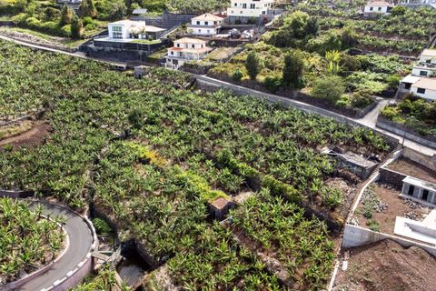 Helårsgrund i Calheta, Madeira, Calheta - € 350.000 | Ref: C0447-00186 - foto 18