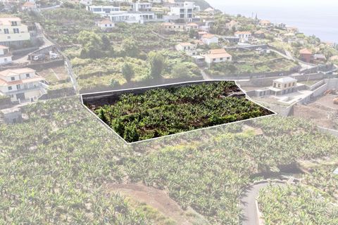 Helårsgrund i Calheta, Madeira, Calheta - € 350.000 | Ref: C0447-00186 - foto 21