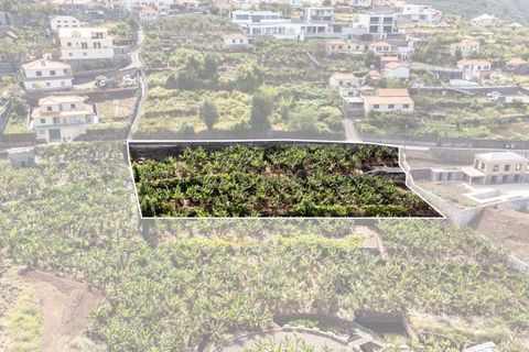 Helårsgrund i Calheta, Madeira, Calheta - € 350.000 | Ref: C0447-00186 - foto 23