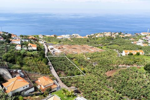 Helårsgrund i Calheta, Madeira, Calheta - € 350.000 | Ref: C0447-00186 - foto 24