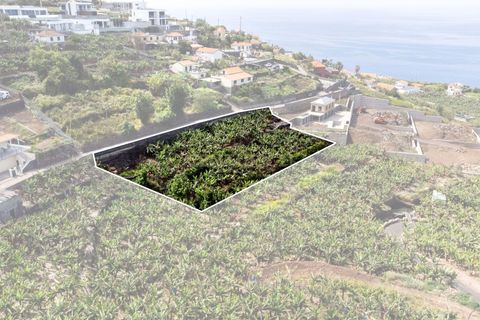 Helårsgrund i Calheta, Madeira, Calheta - € 350.000 | Ref: C0447-00186 - foto 25