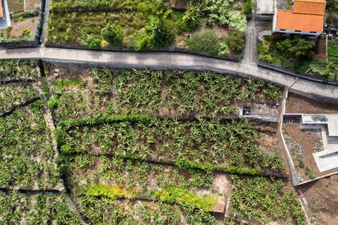 Helårsgrund i Calheta, Madeira, Calheta - € 350.000 | Ref: C0447-00186 - foto 28