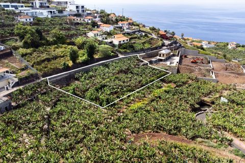Helårsgrund i Calheta, Madeira, Calheta - € 350.000 | Ref: C0447-00186 - foto 30
