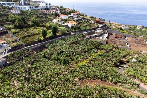 Helårsgrund i Calheta, Madeira, Calheta - € 350.000 | Ref: C0447-00186 - foto 31