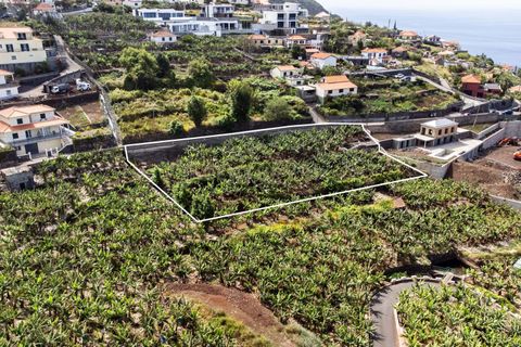 Helårsgrund i Calheta, Madeira, Calheta - € 350.000 | Ref: C0447-00186 - foto 32