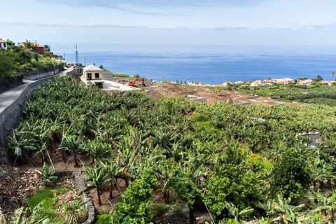 Helårsgrund i Calheta, Madeira, Calheta - € 350.000 | Ref: C0447-00186 - foto 35