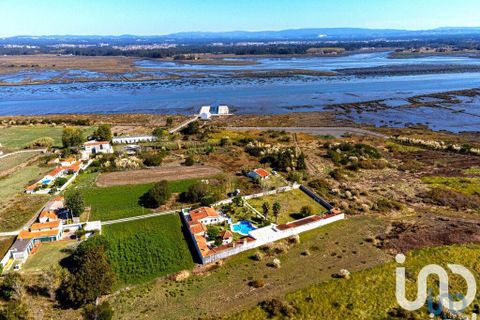 Farm i Ovar, Aveiro, Ovar - € 900.000 | Ref: 736111 - foto 2