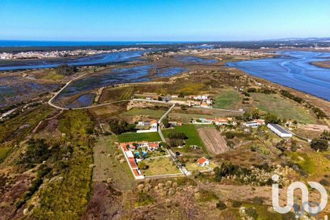 Farm i Ovar, Aveiro, Ovar - € 900.000 | Ref: 736111 - foto 3