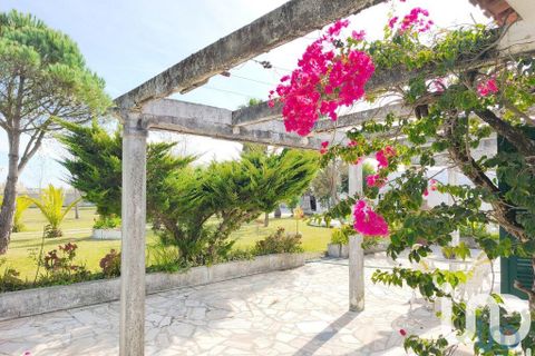 Farm i Ovar, Aveiro, Ovar - € 900.000 | Ref: 736111 - foto 6