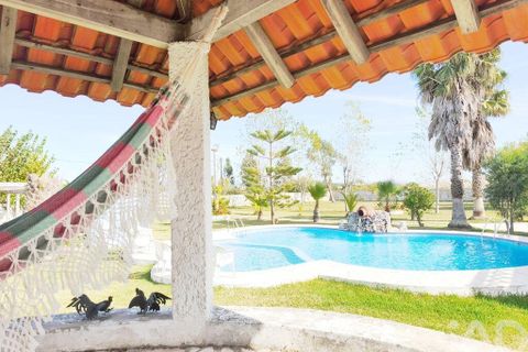 Farm i Ovar, Aveiro, Ovar - € 900.000 | Ref: 736111 - foto 21