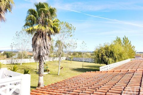 Farm i Ovar, Aveiro, Ovar - € 900.000 | Ref: 736111 - foto 28