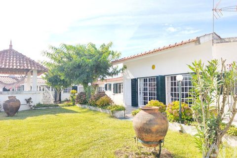 Farm i Ovar, Aveiro, Ovar - € 900.000 | Ref: 736111 - foto 30