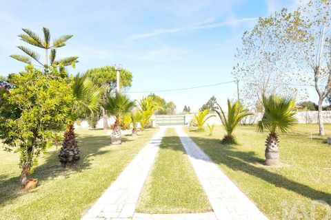 Farm i Ovar, Aveiro, Ovar - € 900.000 | Ref: 736111 - foto 31