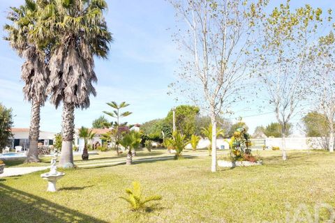 Farm i Ovar, Aveiro, Ovar - € 900.000 | Ref: 736111 - foto 32