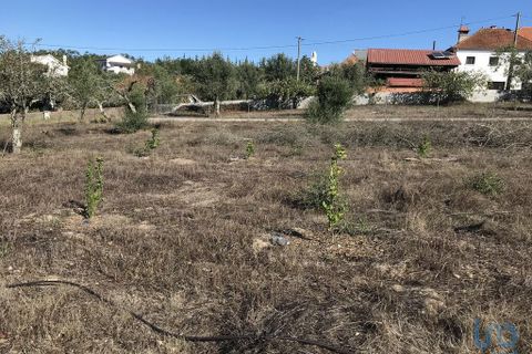 Helårsgrund i Ourem, Santarem, Ourem - € 54.000 | Ref: 127969 - foto 1