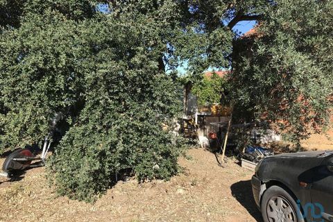 Helårsgrund i Ourem, Santarem, Ourem - € 54.000 | Ref: 127969 - foto 3