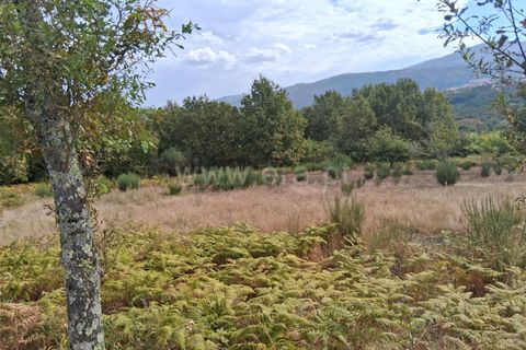 Helårsgrund i Seia, Guarda, Seia - € 20.000 | Ref: 382250114 - foto 2