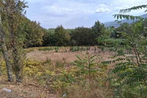 Helårsgrund i Seia, Guarda, Seia - € 20.000 | Ref: 382250114 - foto 3