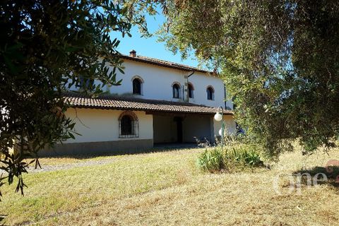Villa a Chianni, Pisa, Chianni - € 705.000 | Ref: 14824-T - foto 10