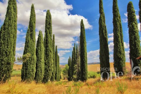 Villa a Chianni, Pisa, Chianni - € 705.000 | Ref: 14824-T - foto 13