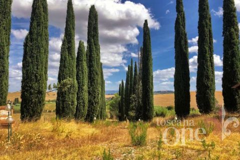 Villa a Chianni, Pisa, Chianni - € 705.000 | Ref: 14824-T - foto 16
