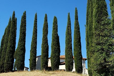 Villa a Chianni, Pisa, Chianni - € 705.000 | Ref: 14824-T - foto 24