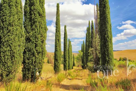 Villa a Chianni, Pisa, Chianni - € 705.000 | Ref: 14824-T - foto 27