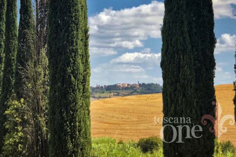 Villa a Chianni, Pisa, Chianni - € 705.000 | Ref: 14824-T - foto 31
