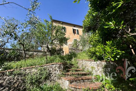 Leilighet i Casole d'Elsa, Siena, Casole d'Elsa - € 155 000 | Ref: 18570-1 - foto 29