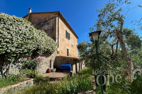 Leilighet i Casole d'Elsa, Siena, Casole d'Elsa - € 185 000 | Ref: 18570-2 - foto 29
