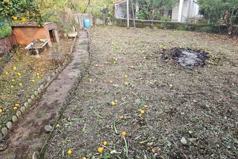 Villa i Cavez, Braga, Cavez - € 140.000 | Ref: HAB_188 - foto 23