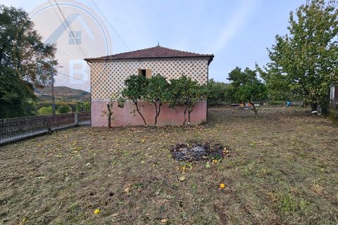 Villa i Cavez, Braga, Cavez - € 140.000 | Ref: HAB_188 - foto 26