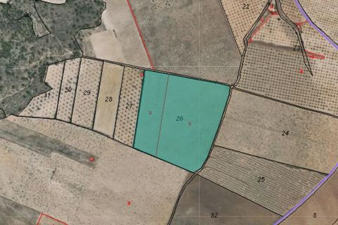 Helårsgrund i Yecla, Murcia, Yecla - € 69.900 | Ref: 41069-PB - foto 5