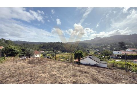 Helårsgrund i Ponte de Lima, Viana do Castelo, Ponte de Lima - € 45.000 | Ref: V326E - foto 9
