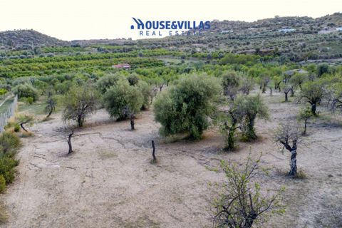 Helårsgrund i Avola, Siracusa, Avola - € 80.000 | Ref: 1207 - foto 5