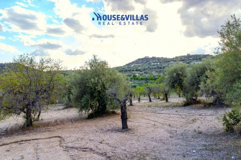 Helårsgrund i Avola, Siracusa, Avola - € 80.000 | Ref: 1207 - foto 8