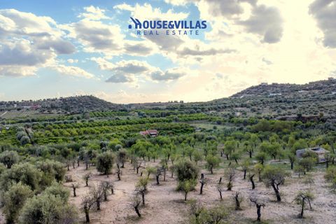 Helårsgrund i Avola, Siracusa, Avola - € 80.000 | Ref: 1207 - foto 9