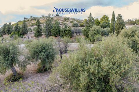 Helårsgrund i Avola, Siracusa, Avola - € 80.000 | Ref: 1207 - foto 10