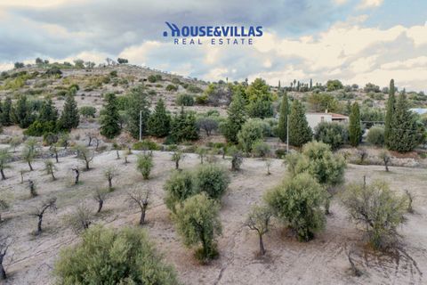Helårsgrund i Avola, Siracusa, Avola - € 80.000 | Ref: 1207 - foto 12