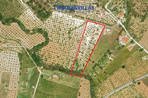 Helårsgrund i Avola, Siracusa, Avola - € 80.000 | Ref: 1207 - foto 14
