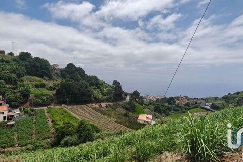 Byhus i Ponta do Sol, Madeira, Ponta do Sol - € 425.000 | Ref: 710915 - foto 2