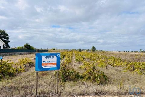 Helårsgrund i Alpiarca, Santarem, Alpiarca - € 65.000 | Ref: 151223 - foto 1