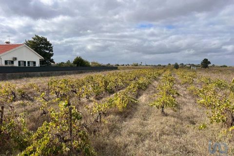 Helårsgrund i Alpiarca, Santarem, Alpiarca - € 65.000 | Ref: 151223 - foto 2