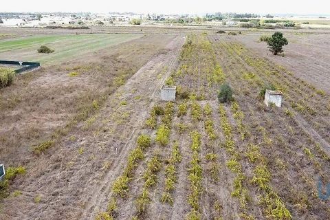 Helårsgrund i Alpiarca, Santarem, Alpiarca - € 65.000 | Ref: 151223 - foto 4