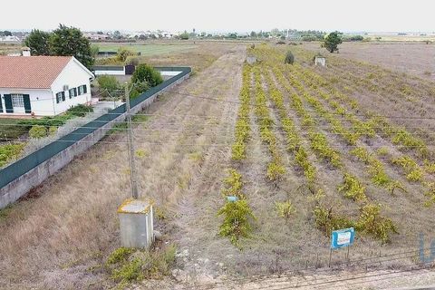 Helårsgrund i Alpiarca, Santarem, Alpiarca - € 65.000 | Ref: 151223 - foto 5