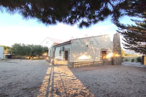 Villa i Sax, Alicante, Sax - € 240.000 | Ref: XAL_991 - foto 46